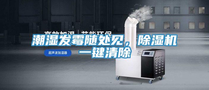 潮濕發(fā)霉隨處見，除濕機(jī)一鍵清除