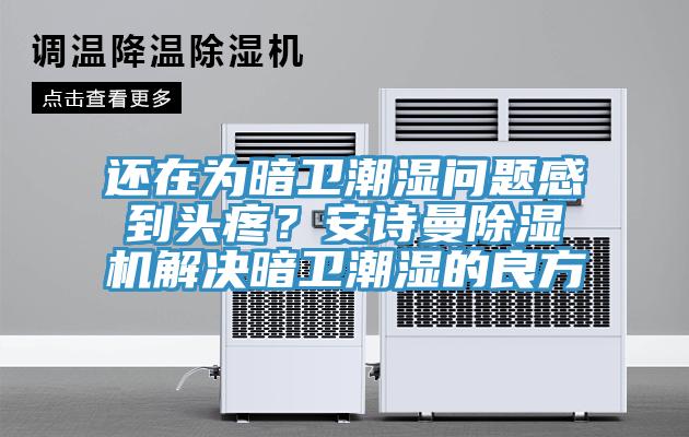 還在為暗衛(wèi)潮濕問題感到頭疼？安詩曼除濕機(jī)解決暗衛(wèi)潮濕的良方