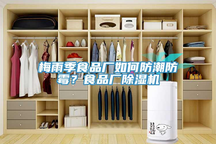 梅雨季食品廠如何防潮防霉？食品廠除濕機