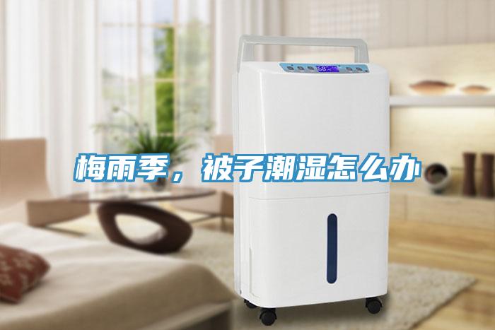 梅雨季，被子潮濕怎么辦