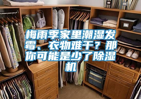 梅雨季家里潮濕發(fā)霉、衣物難干？那你可能是少了除濕機(jī)