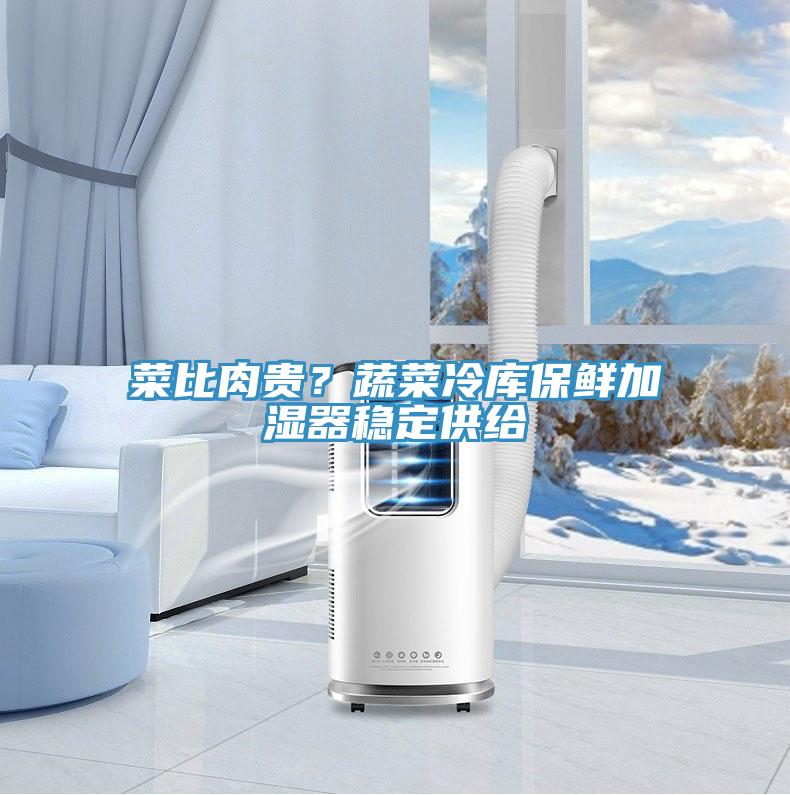 菜比肉貴？蔬菜冷庫保鮮加濕器穩(wěn)定供給