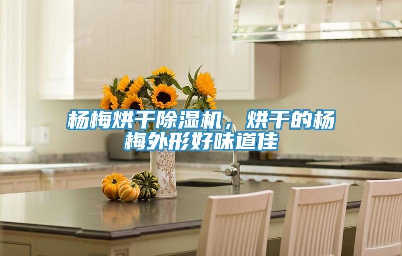 楊梅烘干除濕機，烘干的楊梅外形好味道佳