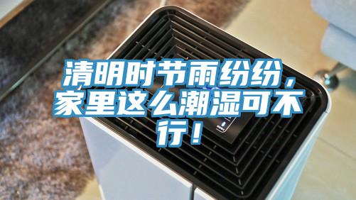 清明時(shí)節(jié)雨紛紛，家里這么潮濕可不行！