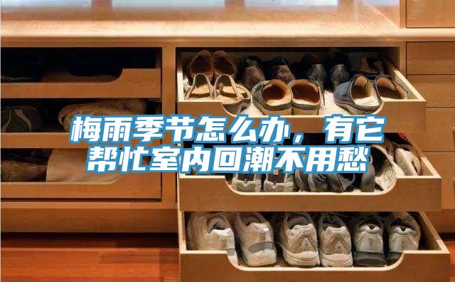 梅雨季節(jié)怎么辦，有它幫忙室內(nèi)回潮不用愁