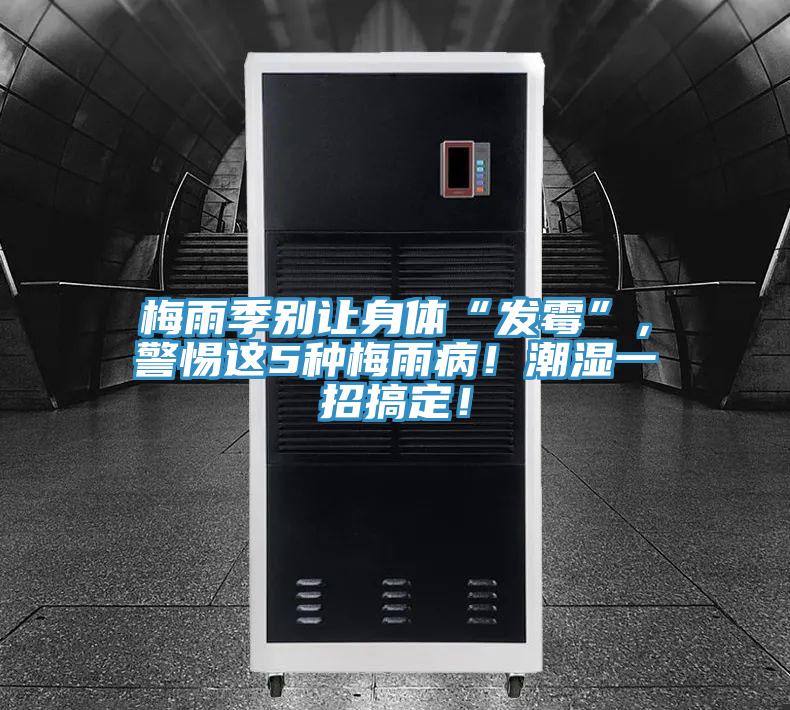 梅雨季別讓身體“發(fā)霉”，警惕這5種梅雨??！潮濕一招搞定！