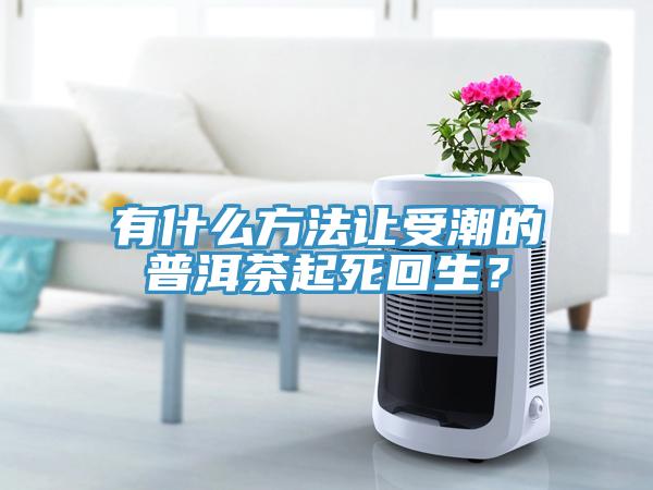 有什么方法讓受潮的普洱茶起死回生？