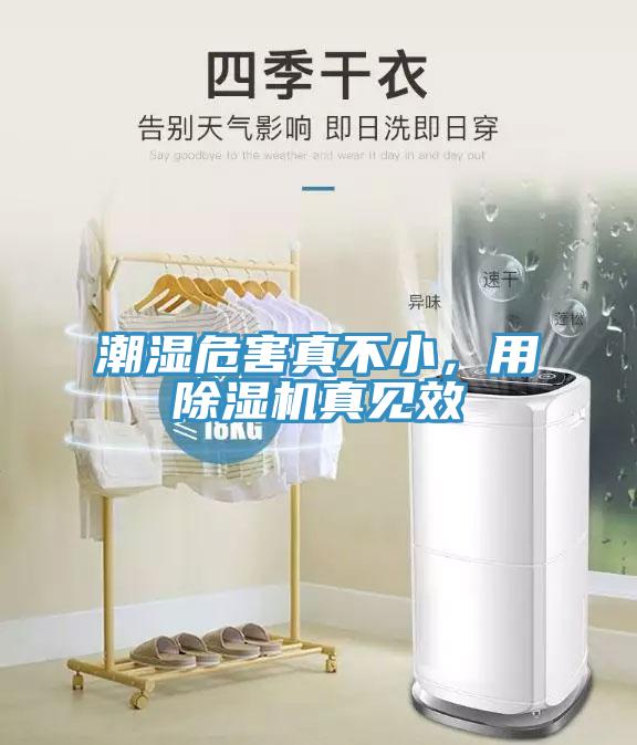 潮濕危害真不小，用除濕機(jī)真見效