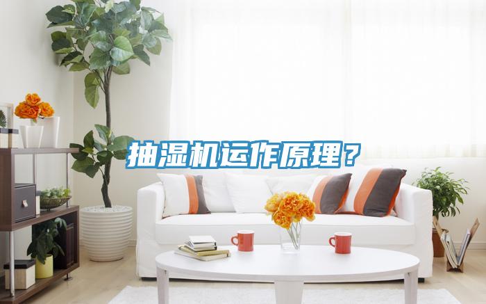 抽濕機(jī)運(yùn)作原理？