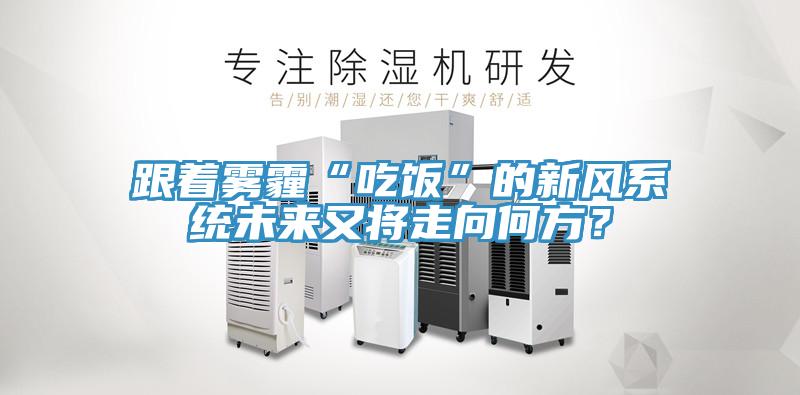 跟著霧霾“吃飯”的新風(fēng)系統(tǒng)未來又將走向何方？
