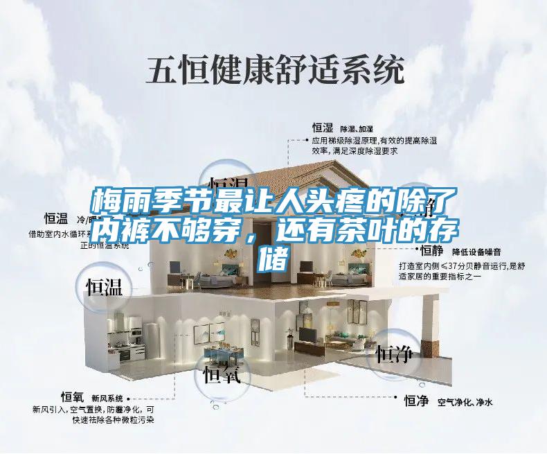 梅雨季節(jié)最讓人頭疼的除了內(nèi)褲不夠穿，還有茶葉的存儲