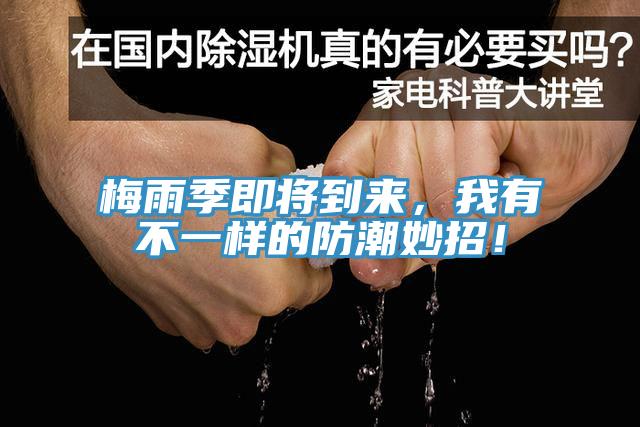 梅雨季即將到來，我有不一樣的防潮妙招！