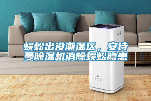 蜈蚣出沒潮濕區(qū)，安詩曼除濕機消除蜈蚣隱患