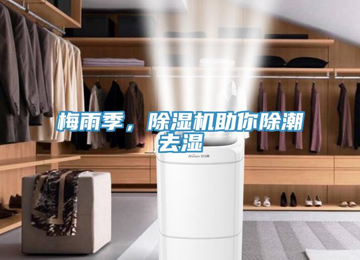 梅雨季，除濕機(jī)助你除潮去濕