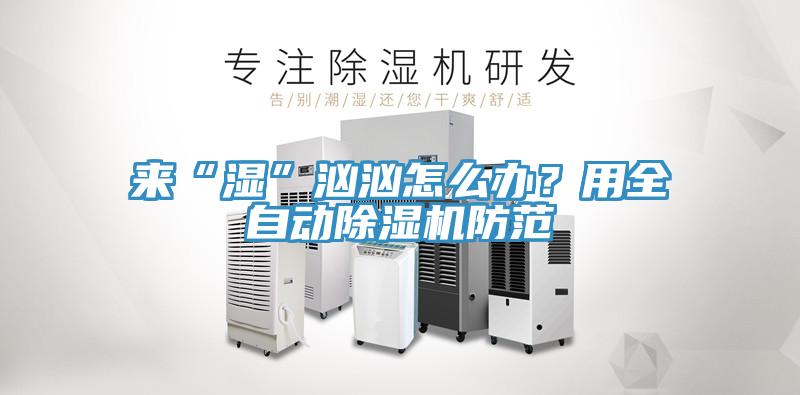 來“濕”洶洶怎么辦？用全自動除濕機(jī)防范