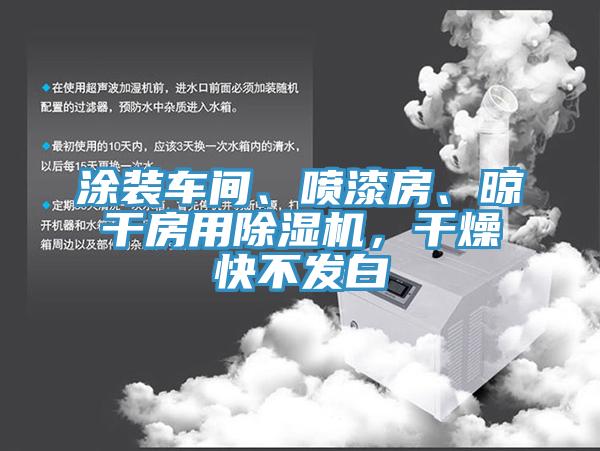 涂裝車間、噴漆房、晾干房用除濕機(jī)，干燥快不發(fā)白