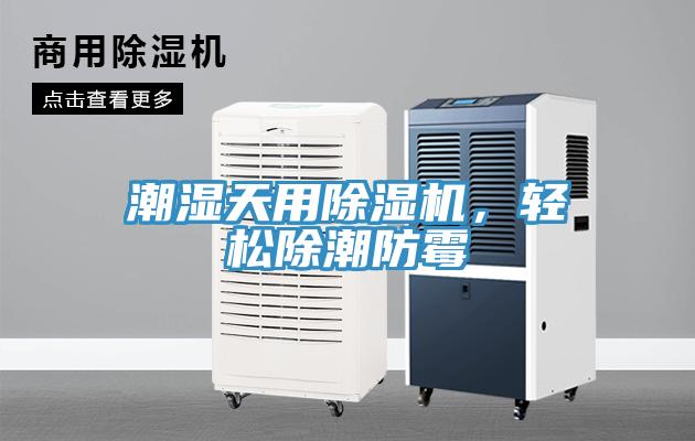 潮濕天用除濕機，輕松除潮防霉