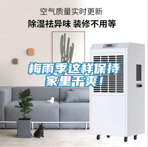 梅雨季這樣保持家里干爽！