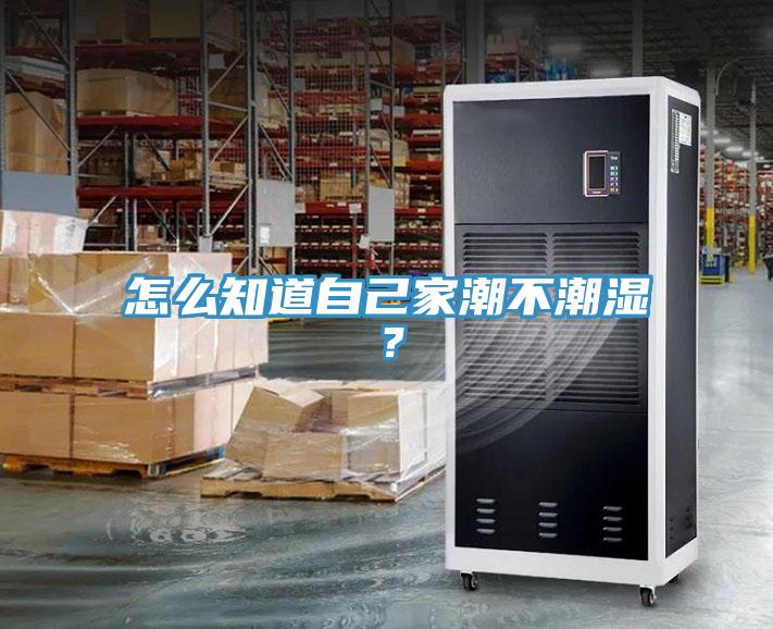怎么知道自己家潮不潮濕？