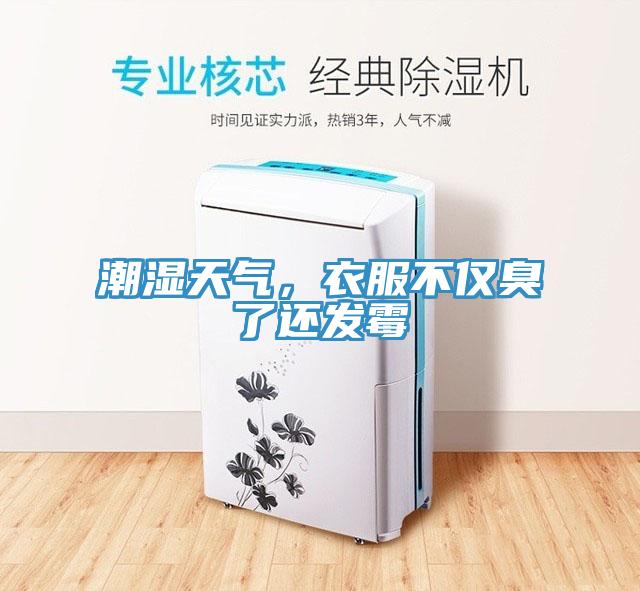 潮濕天氣，衣服不僅臭了還發(fā)霉