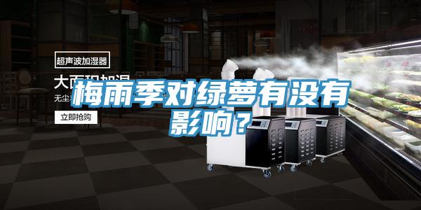 梅雨季對綠蘿有沒有影響？