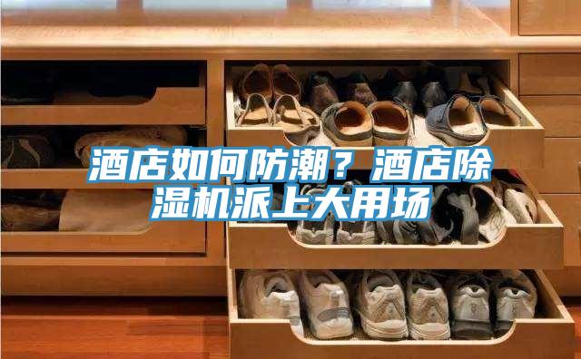 酒店如何防潮？酒店除濕機派上大用場