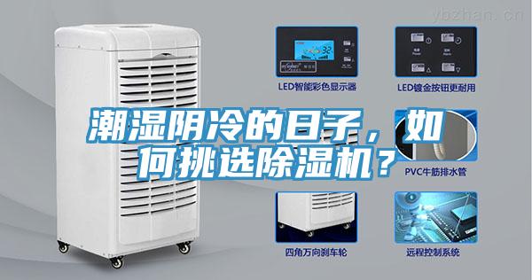 潮濕陰冷的日子，如何挑選除濕機？