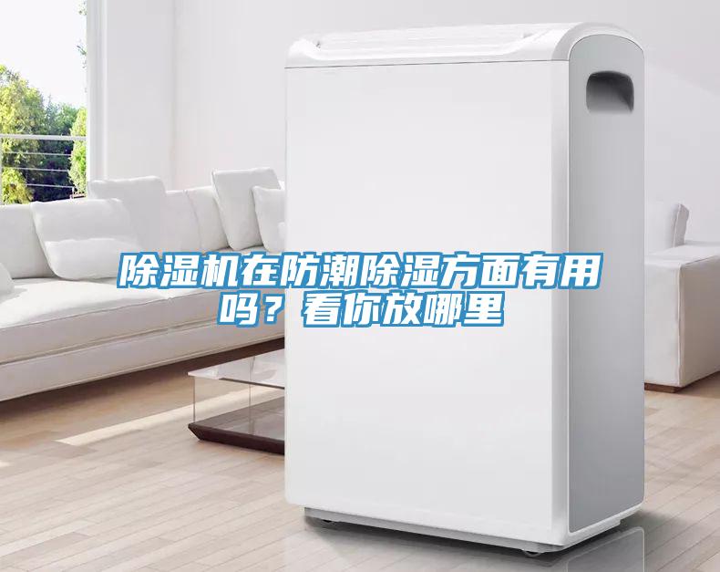 除濕機在防潮除濕方面有用嗎？看你放哪里