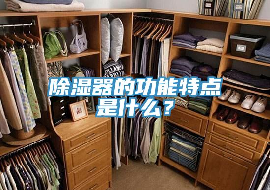 除濕器的功能特點(diǎn)是什么？