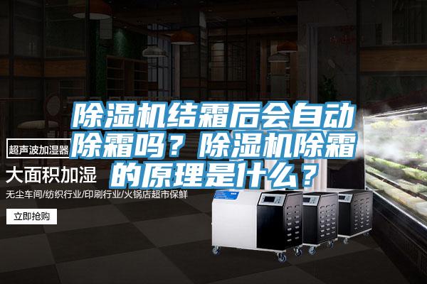 除濕機(jī)結(jié)霜后會(huì)自動(dòng)除霜嗎？除濕機(jī)除霜的原理是什么？