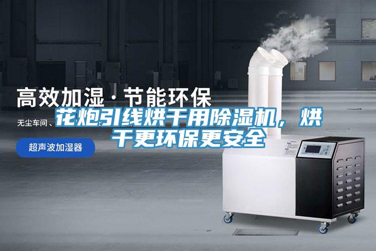 花炮引線烘干用除濕機(jī)，烘干更環(huán)保更安全