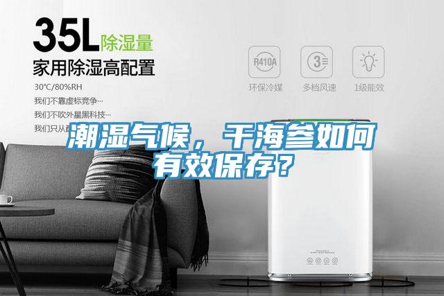 潮濕氣候，干海參如何有效保存？