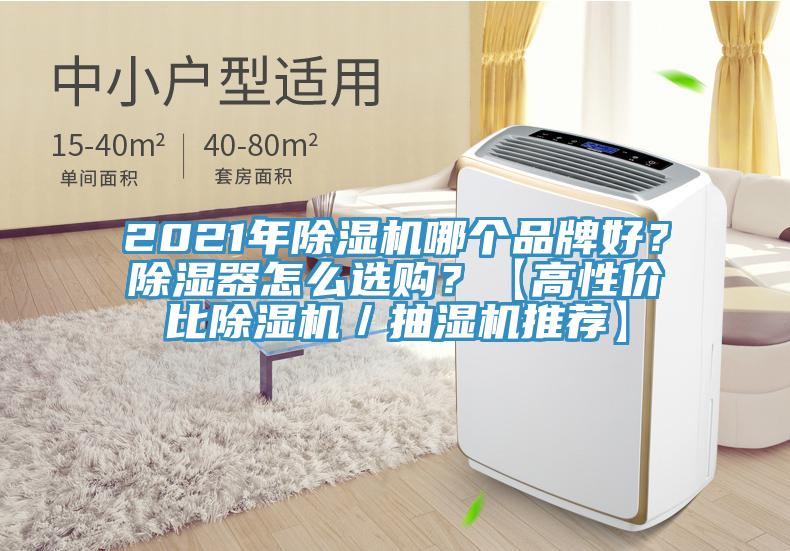 2021年除濕機(jī)哪個(gè)品牌好？除濕器怎么選購(gòu)？【高性價(jià)比除濕機(jī)／抽濕機(jī)推薦】