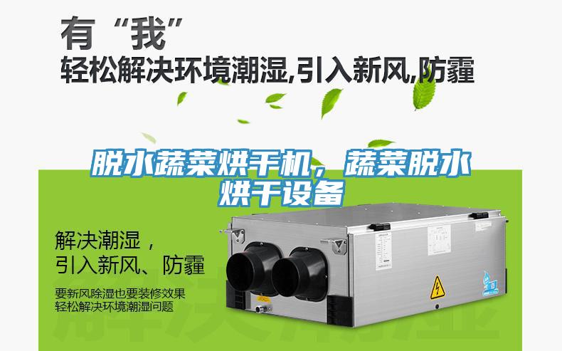 脫水蔬菜烘干機(jī)，蔬菜脫水烘干設(shè)備
