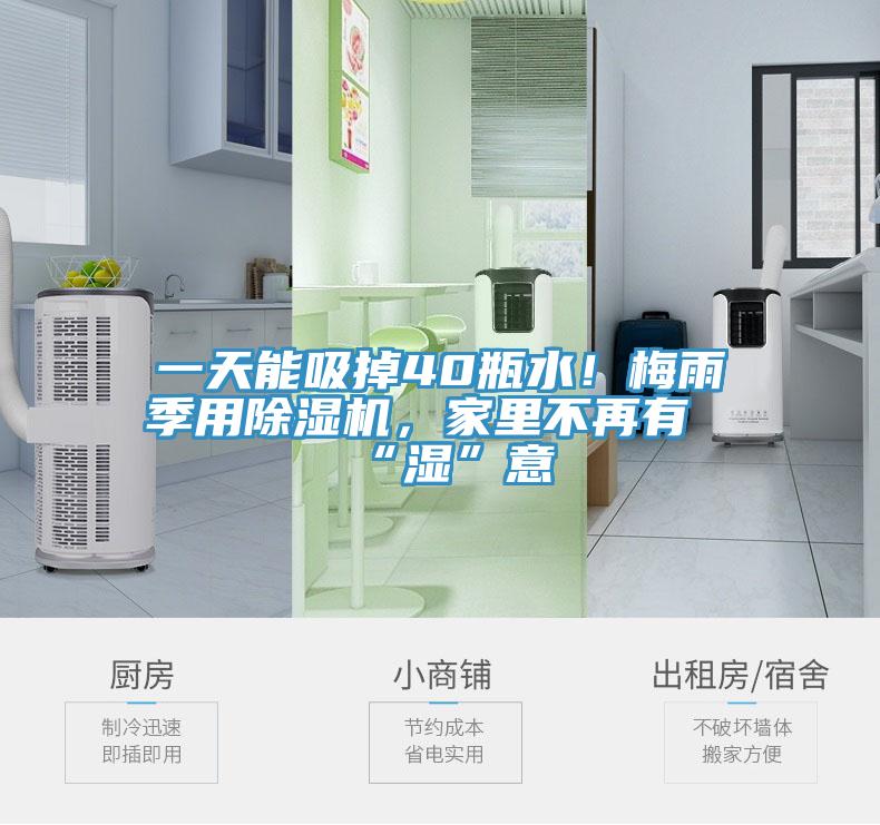 一天能吸掉40瓶水！梅雨季用除濕機，家里不再有“濕”意