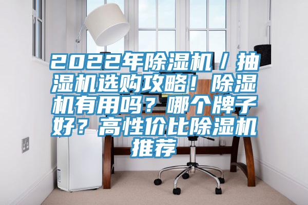 2022年除濕機／抽濕機選購攻略！除濕機有用嗎？哪個牌子好？高性價比除濕機推薦
