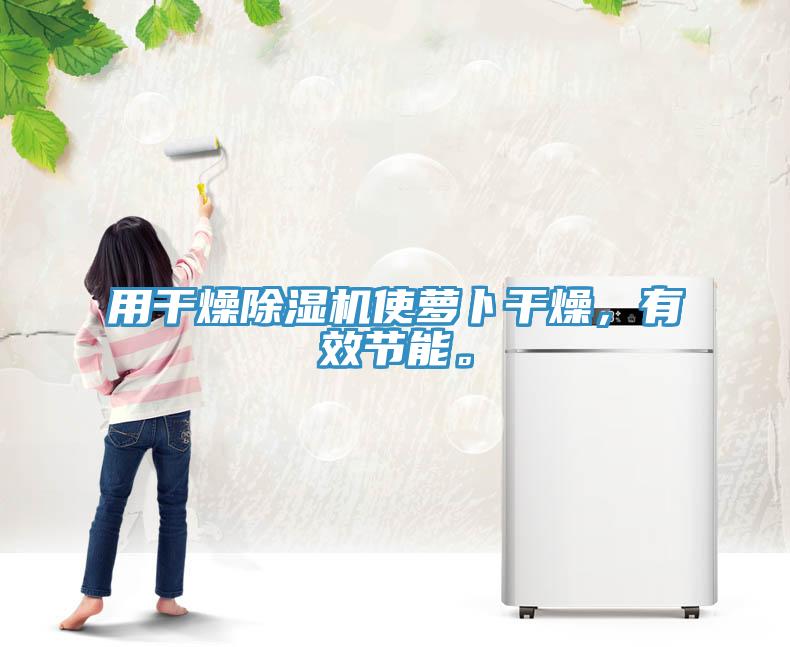用干燥除濕機(jī)使蘿卜干燥，有效節(jié)能。