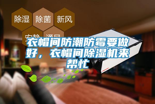 衣帽間防潮防霉要做好，衣帽間除濕機來幫忙