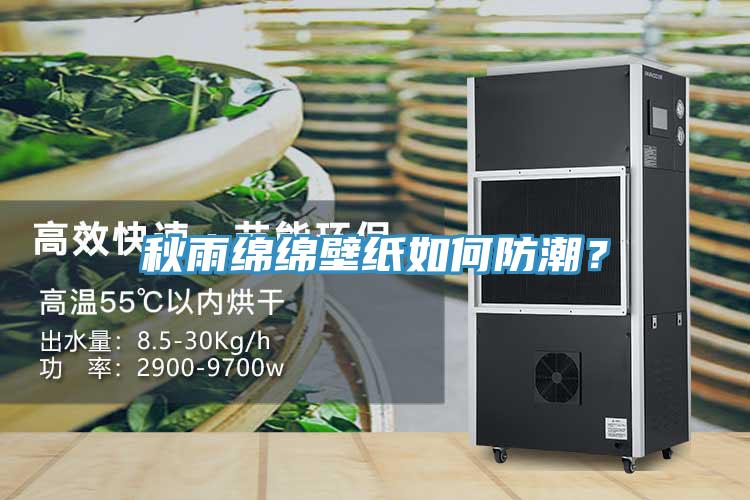 秋雨綿綿壁紙如何防潮？