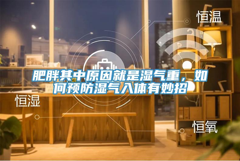 肥胖其中原因就是濕氣重，如何預(yù)防濕氣入體有妙招