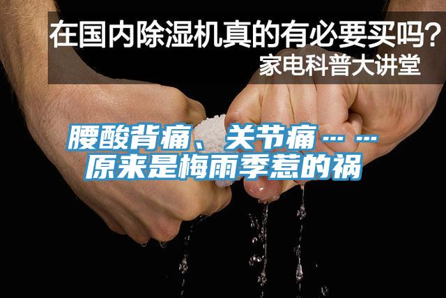 腰酸背痛、關(guān)節(jié)痛……原來(lái)是梅雨季惹的禍