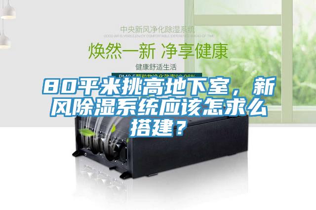 80平米挑高地下室，新風(fēng)除濕系統(tǒng)應(yīng)該怎求么搭建？