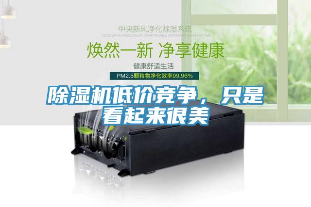 除濕機(jī)低價(jià)競(jìng)爭(zhēng)，只是看起來(lái)很美
