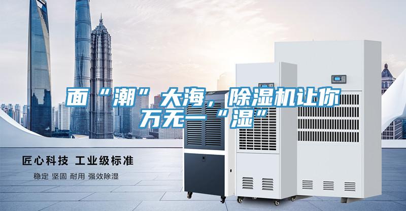 面“潮”大海，除濕機(jī)讓你萬(wàn)無(wú)一“濕”