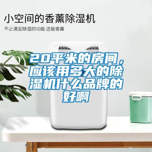 20平米的房間，應(yīng)該用多大的除濕機(jī)什么品牌的好啊