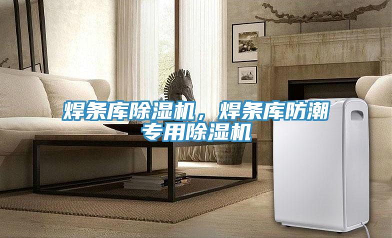 焊條庫(kù)除濕機(jī)，焊條庫(kù)防潮專用除濕機(jī)