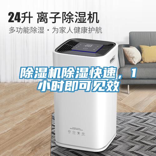 除濕機(jī)除濕快速，1小時(shí)即可見(jiàn)效