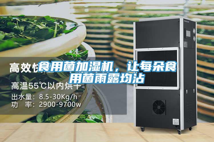 食用菌加濕機(jī)，讓每朵食用菌雨露均沾