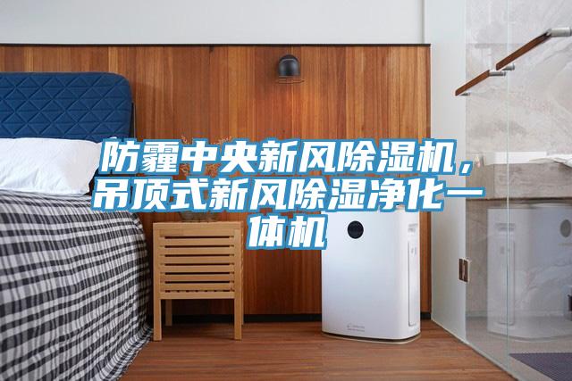 防霾中央新風(fēng)除濕機，吊頂式新風(fēng)除濕凈化一體機