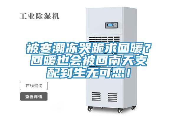 被寒潮凍哭跪求回暖？回暖也會(huì)被回南天支配到生無(wú)可戀！